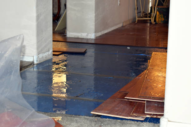 Professional Sewage Cleanup technician working in Bedford, MA